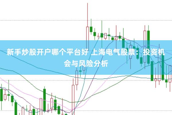 新手炒股开户哪个平台好 上海电气股票:投资机会与风险分析