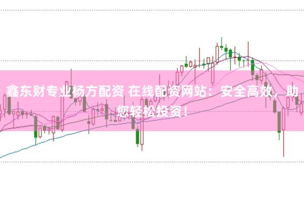 鑫东财专业杨方配资 在线配资网站：安全高效，助您轻松投资！