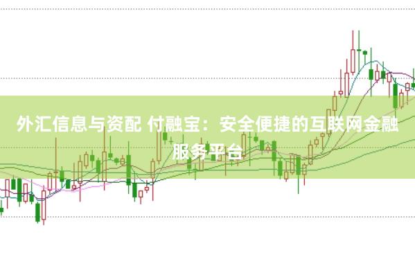 外汇信息与资配 付融宝：安全便捷的互联网金融服务平台