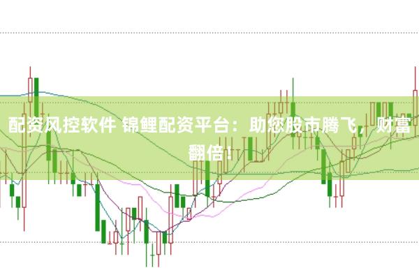 配资风控软件 锦鲤配资平台：助您股市腾飞，财富翻倍！