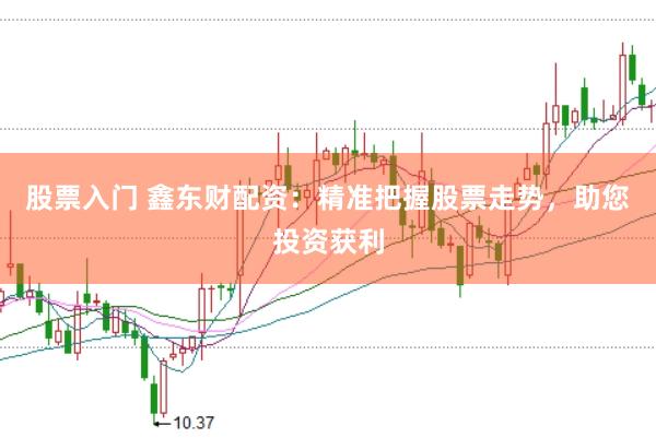 股票入门 鑫东财配资：精准把握股票走势，助您投资获利