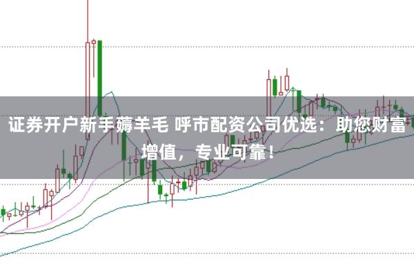 证券开户新手薅羊毛 呼市配资公司优选：助您财富增值，专业可靠！