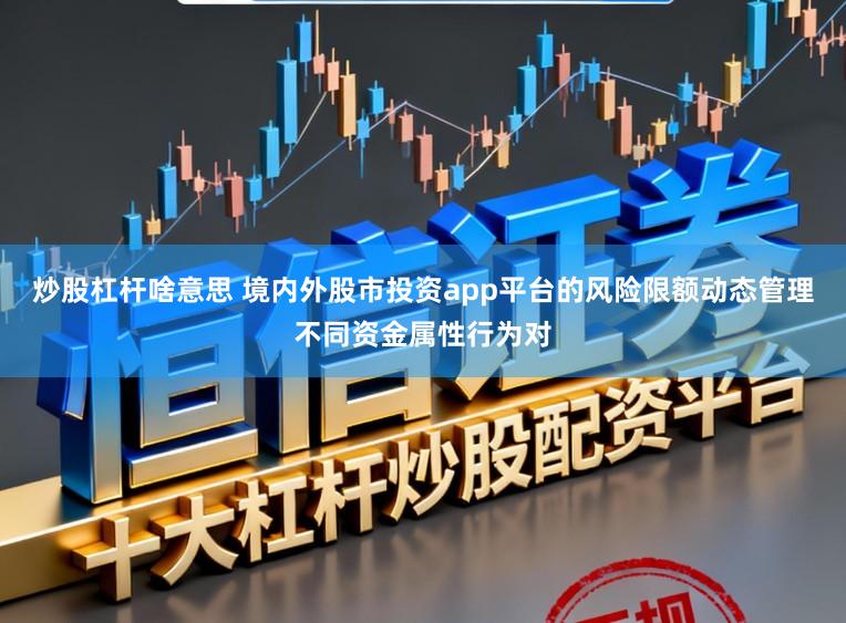 炒股杠杆啥意思 境内外股市投资app平台的风险限额动态管理不同资金属性行为对
